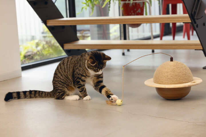 Designed by Lotte Holz-Kratzball Wiggly